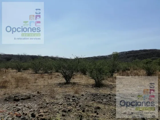 Terreno - Rancho O Rancheria Palo Blanco