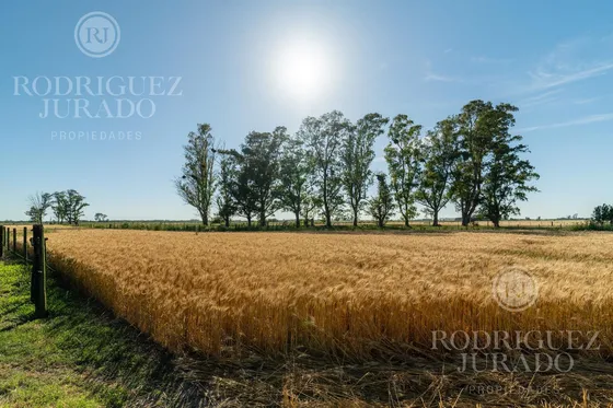 Venta De 21 Hectáreas - San Antonio De Areco A 10km Del Pueblo Y 100km De Caba