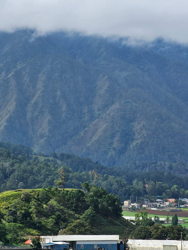 Solares De Ensueños En Montaña De Constanza 1000m2,