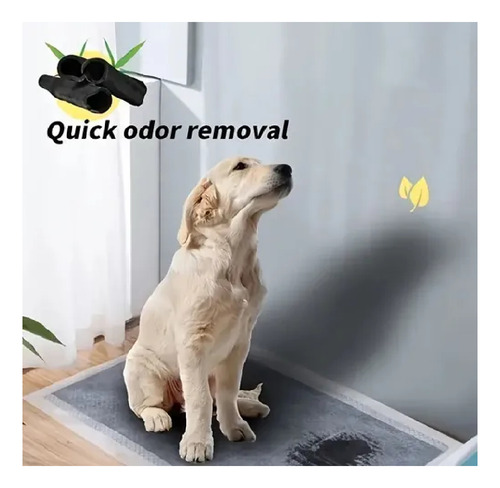 Pañal De Piso Perro Carbon Activado Talla L (2 Paquetes)