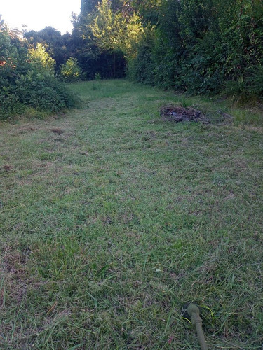 Terreno En La Lonja