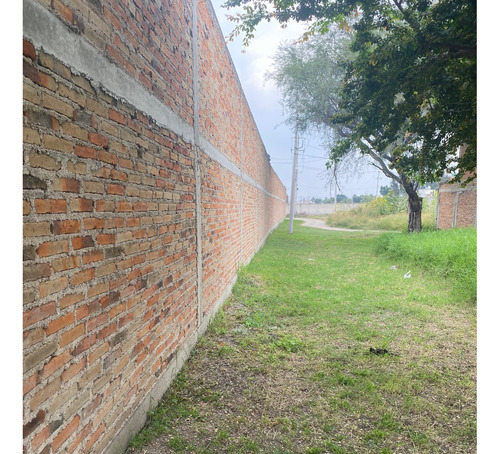 Bodega En Venta Adolf B. Horn Y Autódromo Guadalajara
