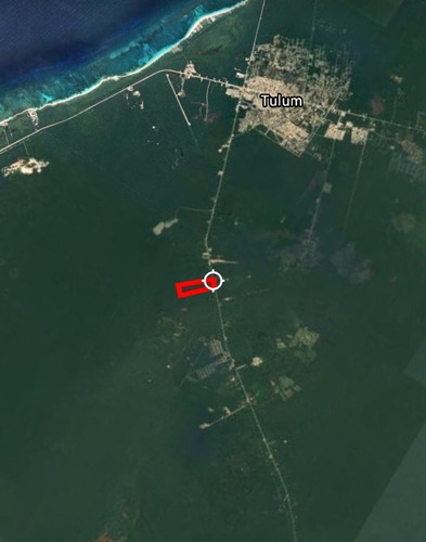 Terreno En Venta De 34 Hectáreas En Carretera Tulum Cobá, Tulum, Q, Roo