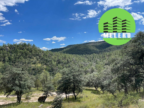 Terrenos En Venta En Fracc. Alta Norte