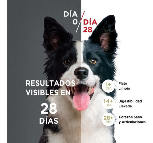 Alimento Perro Purina® One Adulto Med/grande Pollocarne 12kg