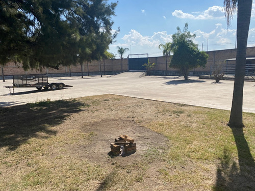 Bodega En Venta Adolf B. Horn Y Autódromo Guadalajara