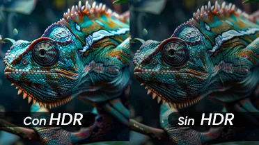 HDR