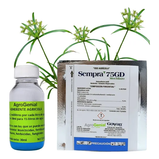 Sempra Sobre 6g Sistemico Elimina Coquillo Cyperus