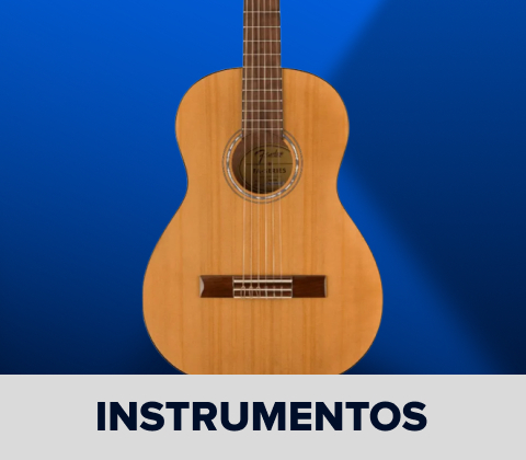 INSTRUMENTOS MUSICALES